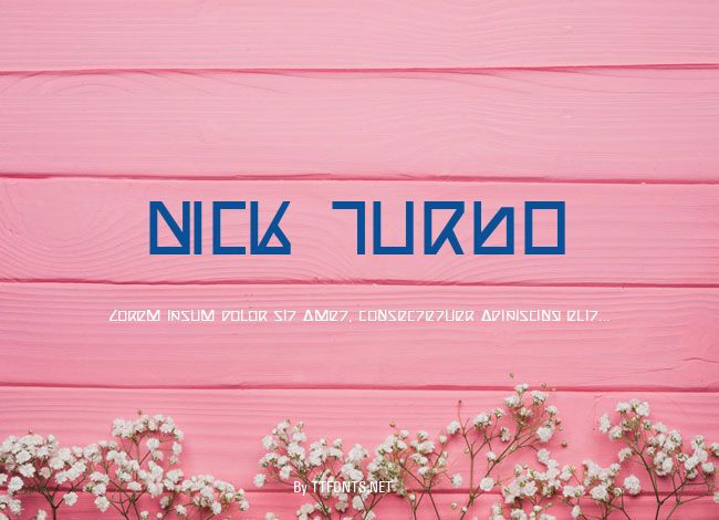 Nick Turbo example